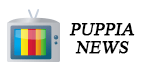 PUPPIA NEWS