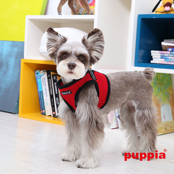 puppia smart tag
